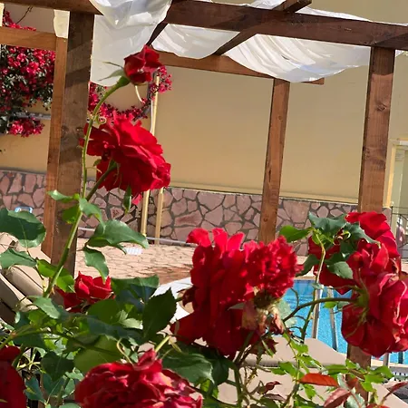 Avra Sea View Paradise Pool Apart Otel Moraitika